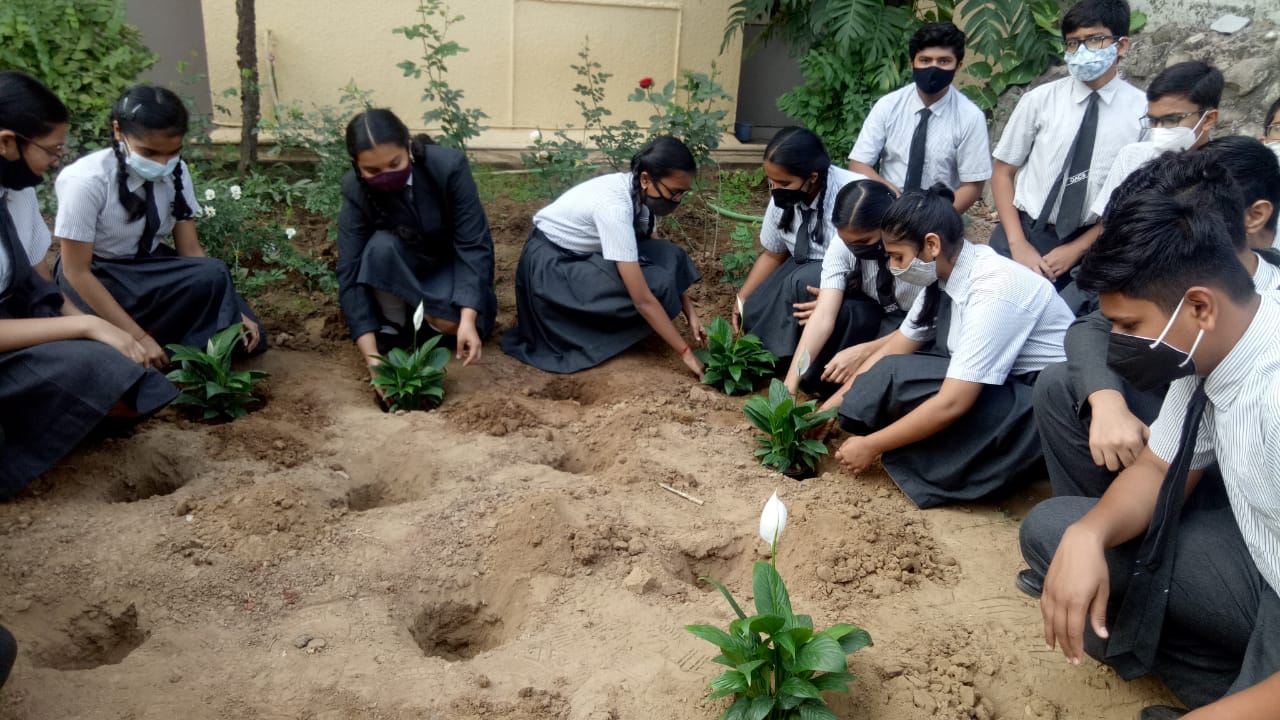 STD 9 Supw Plantation
